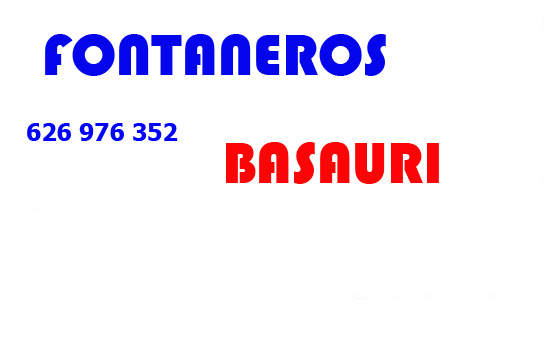 fontanneros de Basauri